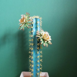 Cactus blu brasiliano - Cactus 3D - Scatola di immagazzinaggio - Confezione regalo - Download istantaneo - Video Tutorial - Cricut - Silhouette - S & C - SVG
