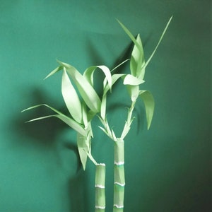 Lucky Bamboo - Templates - Téléchargement instantané - Tutoriel vidéo - SVG - Cricut - Silhouette - S&C - DIY - Pendaison de crémaillère - Mariage - B’day