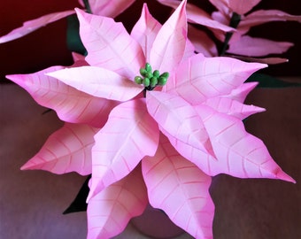 May include: A pink poinsettia plant with green leaves and a pink pot. The plant is in focus and the background is blurred.