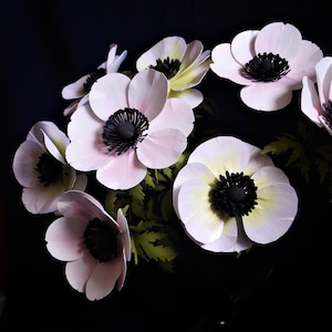 Anemoni giganti - Fiore di carta - Modelli - Digital Delivery - Video Tutorial - SVG - PDF - Silhouette - Scan&Cut