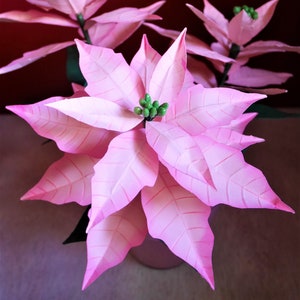Stella di Natale - Fiore di carta - Modelli - Download immediato - Tutorial video - SVG - Silhouette - PDF - Fai da te - Fiori 3D - Decorazione per la casa.