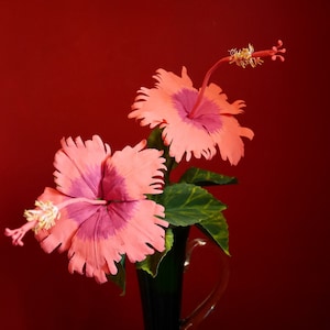 Hawaiianischer Hibiskus - Papierblume - Vorlagen - VideoAnleitung - SVG - PDF - PNG - Bitte artikeldetails für mehr Infos lesen - Muster