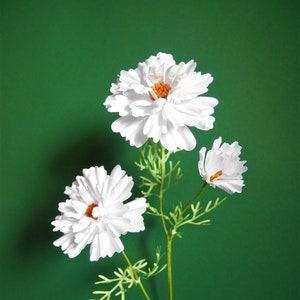 Double Cosmos - Paper Flower - Templates - Instant Download - Video Tutorial - SVG - Silhouette - Cricut - Scan&Cut - Wedding Bouquet