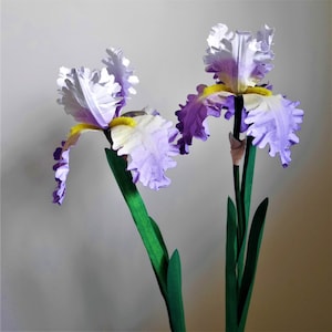 Iris nano barbuto - Fiori di carta - Modelli - Download immediato - Video tutorial - SVG - Studio - Scan&Cut - Fai da te - Modelli 3D - Artigianato