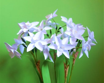 Narcissus Paperwhite - Templates - Paper Flowers - Instant Download - SVG - Cricut - Silhouette - Spring Flowers - Home Decor - DIY