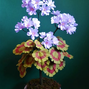 Begonia - Fiore di Carta - Modelli - Download Istantaneo - Video Tutorial - SVG - SIlhouette - Sccan&Cut - Fai da te - Arte Botanica - Paper Art