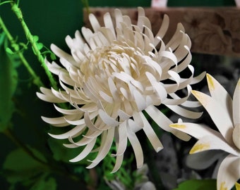 Anastasia Spider Mum - Paper Flower - Templates - Video Tutorial - Instant Download - SVG  - Studio - Scan&Cut - DIY - Wedding Bouquet