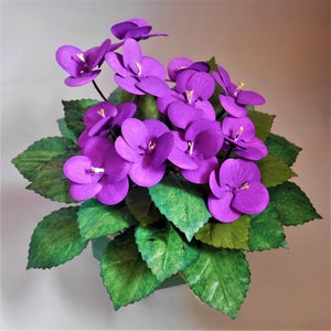African Violets - Paper  Flower - Templates - Instant Download - Video Tutorials - Silhouette - Cricut - Scan&Cut - SVG - DIY - 3D Crafts
