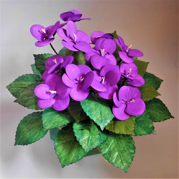 African Violets - Paper  Flower - Templates - Instant Download - Video Tutorials - Silhouette - Cricut - Scan&Cut - SVG - DIY - 3D Crafts