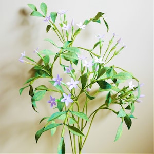 Jasmine - Paper Flower - Templates - Instant Download - Video Tutorial - Cricut - Silhouette - Scan&Cut - Brother - Paper Bouquet - DIY