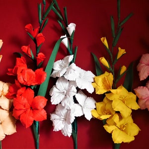 Per uso commerciale: Gladiolo - Fiore di carta - Modelli - Consegna digitale - SVG - Silhouette - Scansione e taglio - Fai da te - Bouquet - Licenza di 1 anno