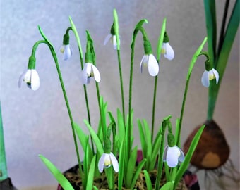 Snowdrops and Planter - Paper Flower - Templates - Video Tutorial - Instant Download - SVG - Studio -  Scan&Cut - DIY - Paper Crafts - 3D