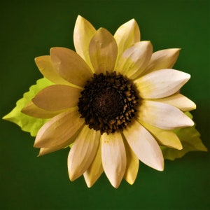 Petit tournesol - glace vanille - fleur en papier - modèles - tutoriel vidéo - SVG - silhouette - scan et découpe - créations 3D