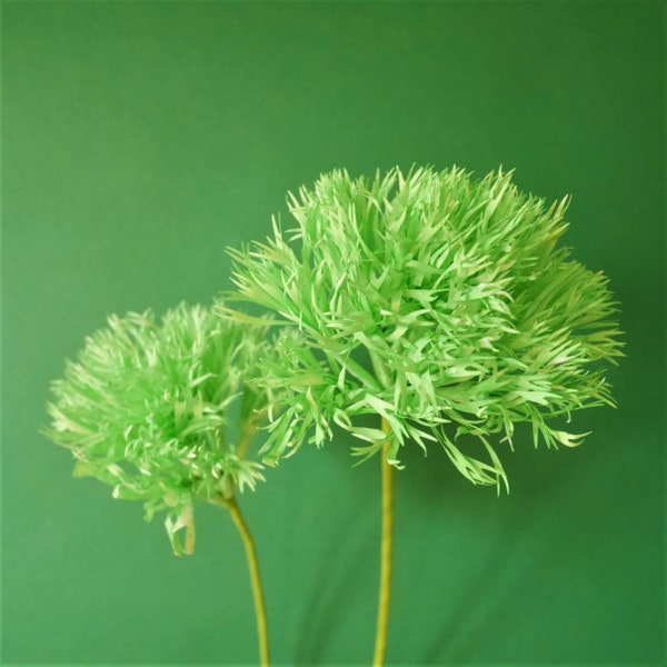 Dianthus Green Trick - Pom Pom - Vorlagen - Papierblumen - Instant Download - Video Tutorial - SVG - Silhouette - Cricut - Scan&Cut