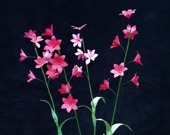 Fleurs sauvages - Grazia - Fleurs en papier - Modèles - Téléchargement instantané - SVG - Scan&Cut - Silhouette - Cricut - Fleurs 3D