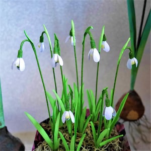 Sneeuwklokjes en plantenbak - papieren bloem - sjablonen - videotutorial - direct downloaden - SVG - studio - scannen en knippen - doe-het-zelf - papierambachten - 3D