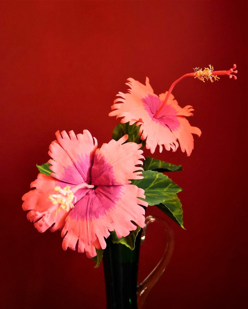 May include: Two pink hibiscus flowers with ruffled petals in a green vase against a red background.