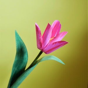 Tulipano in fiore - Fiori di carta - Modelli - Download istantaneo - Video Tutorial - SVG - Studio - S&C - Decorazioni pasquali - Bouquet di carta