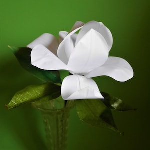 Magnolia del Sud - Fiore di carta - Ghirlanda - Download immediato - Modelli - Video tutorial - Cricut - Silhouette - Scan&Cut - Decor