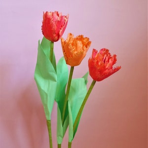 Tulipe à double franges Fleur de papier Modèles Livraison numérique Tutoriel vidéo SVG Silhouette Scan&Cut Paper Crafts Fleur 3D image 7