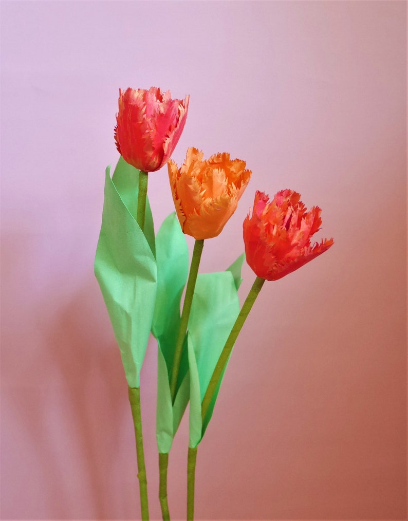 Tulipe à double franges Fleur de papier Modèles Livraison numérique Tutoriel vidéo SVG Silhouette Scan&Cut Paper Crafts Fleur 3D image 7