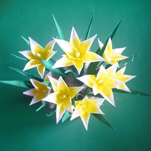 Dwarf Wild Tulips - Paper Flower - Templates - Instant Download - Video Tutorial - SVG - Silhouette - Brother - Spring - Easter - DIY
