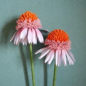 May include: Two handcrafted paper coneflowers featuring vibrant orange, textured centers surrounded by a fringe of light pink petals. Each flower is attached to a slender green stem, showcasing detailed craftsmanship with layered paper elements.
