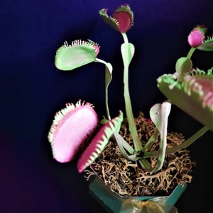 Venus flugfälla (Dionaea muscipula) - Mallar - Videohandledning - SVG - S&C - Silhuett - Cricut - DIY - 3D-pyssel - 3D-blommor bild 5