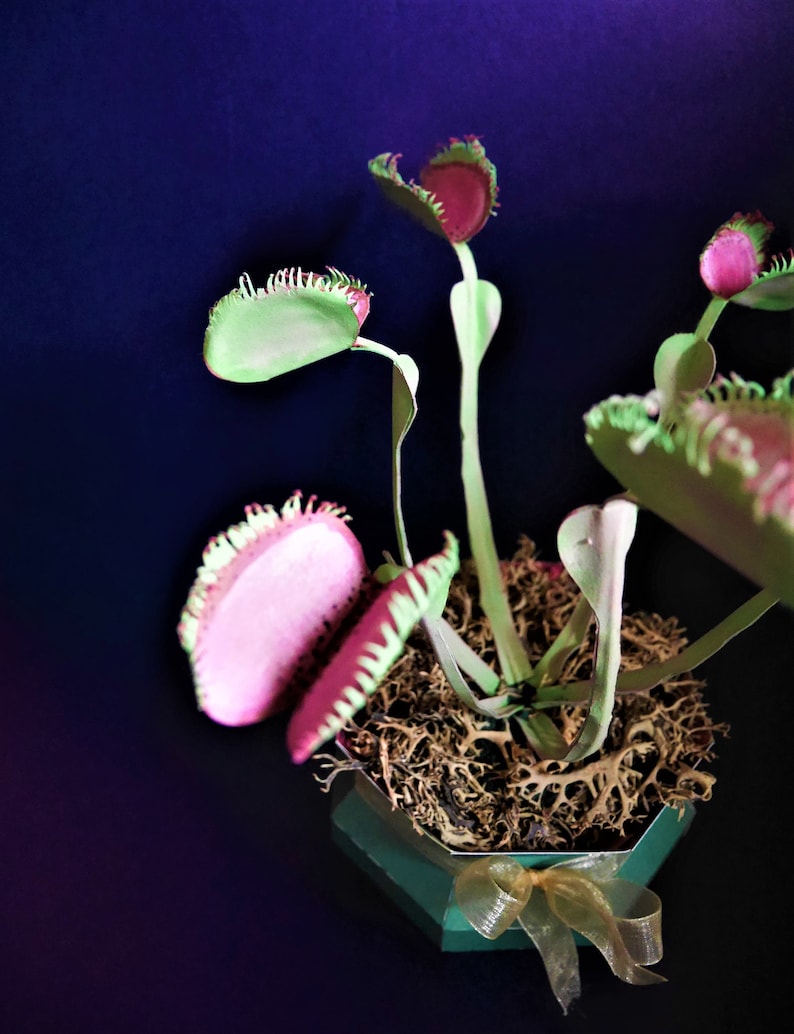 Venus Flytrap Dionaea muscipula Templates Video Tutorial SVG S&C Silhouette Cricut DIY 3D Crafts 3D Flowers image 5