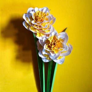 May include: A bouquet of paper daffodils with white petals and yellow centers, set against a bright yellow background. The flowers have green stems and are arranged to showcase their layered design. The image highlights the contrast of colors.