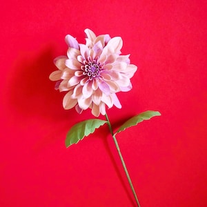 May include: A single, light pink dahlia flower with a purple center and green leaves and stem against a bright red background. The flower's petals are layered, creating a full, textured appearance. The leaves are a vibrant green.