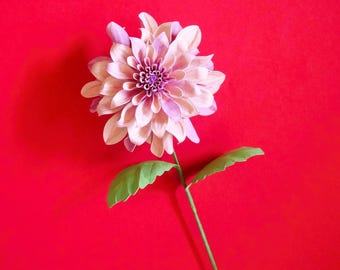 Könnte beinhalten: Eine einzelne, hellrosa Dahlienblüte mit einem violetten Zentrum und grünen Blättern und Stiel vor einem leuchtend roten Hintergrund. Die Blütenblätter der Blume sind geschichtet, wodurch ein volles, strukturiertes Aussehen entsteht. Die Blätter sind ein leuchtendes Grün.