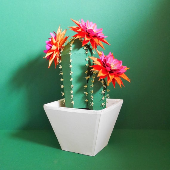 3D Paper Cactus Template: Echinopsis DIY Craft (instant Download) - Etsy