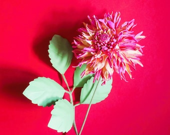 May include: A vibrant dahlia flower with pink and yellow petals, set against a bright red background. The flower has a detailed, layered structure. Light green leaves and stem extend from the flower, adding contrast. The image is a close-up, highlighting the flower's texture.