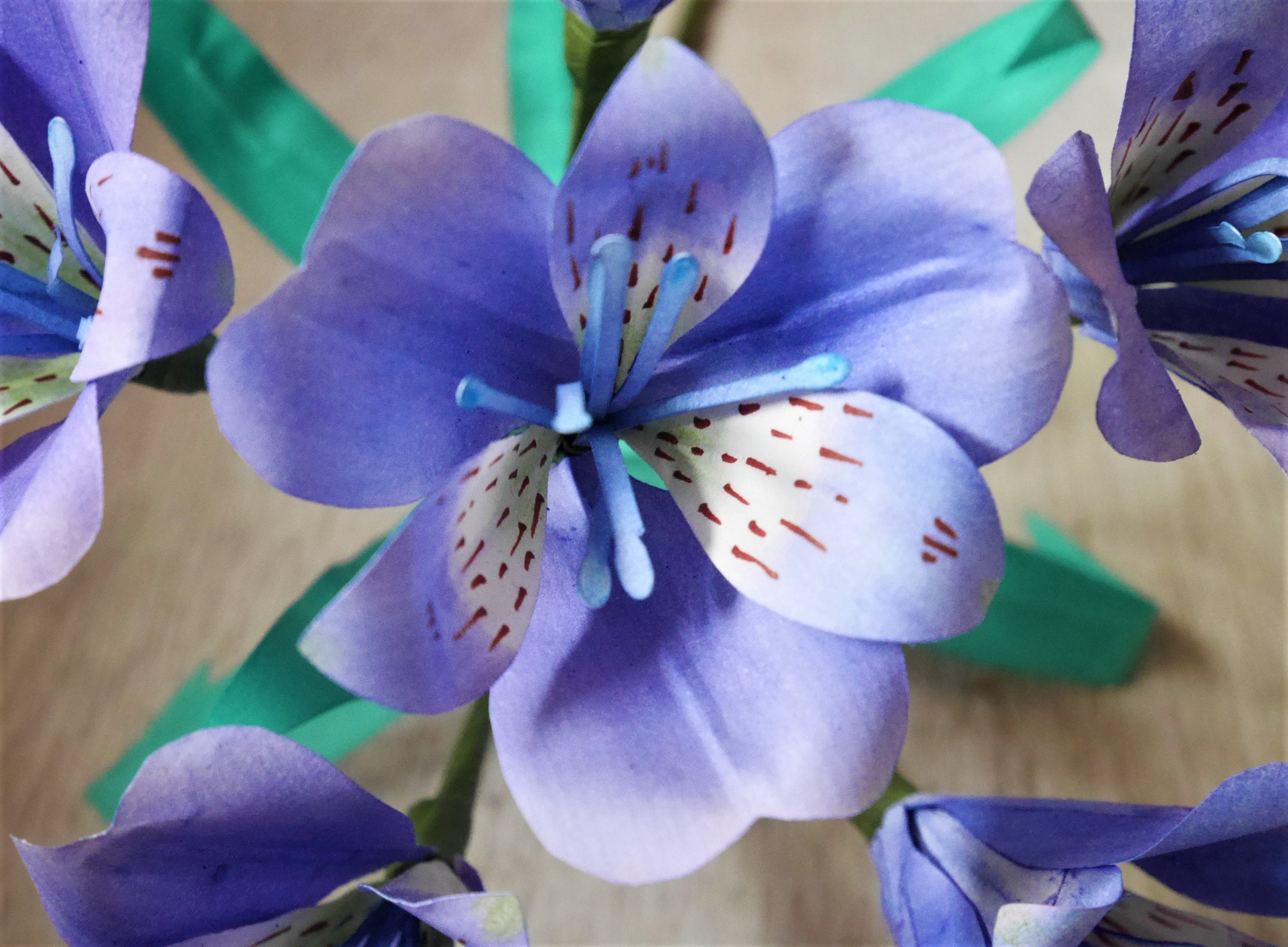 Easy Alstroemeria Peruvian Lily Paper Flower Templates Etsy 日本