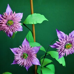 Clematis Crystal Fountain - Paper Flowers - Templates - Video Tutorial - SVG - Silhouette - Scan&Cut - PDF - 3D Crafts - DIY