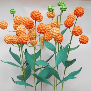 Buddleja Globosa - Billy Balls - Sjablonen - Instant Download - Papieren bloem - SVG - DIY - Studio - S&C - 3D-bloemen - Papieren boeket