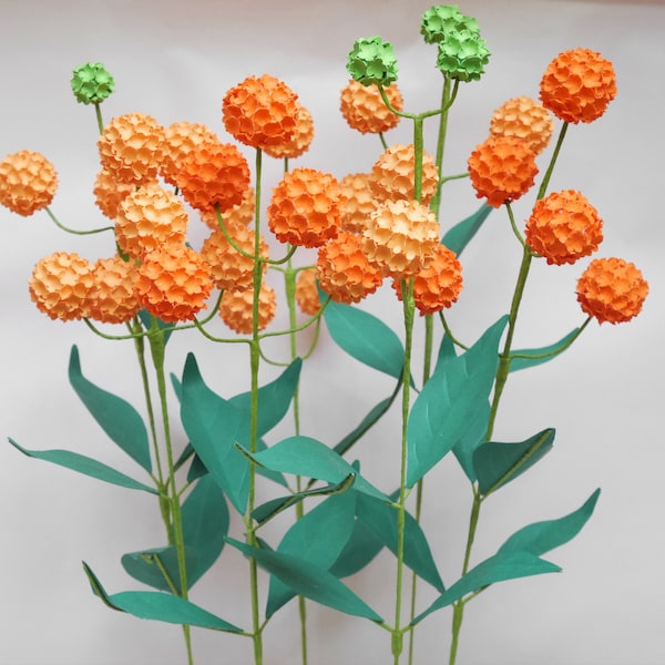 Buddleja Globosa - Billy Balls - Templates  - Instant Download  - Paper flower - SVG -  DIY - Studio - S&C - 3D Flowers - Paper Bouquet