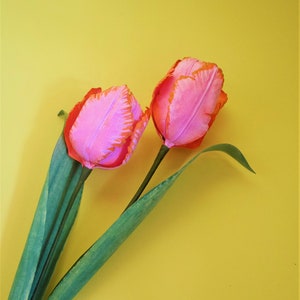 Blooming Parrot Tulip - Paper Flower - Modelli - Video Tutorial - Instant Download - SVG - Studio - S&C - DIY - Paper Bouquet - 3D
