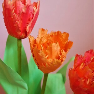 Tulipe à double franges Fleur de papier Modèles Livraison numérique Tutoriel vidéo SVG Silhouette Scan&Cut Paper Crafts Fleur 3D image 3