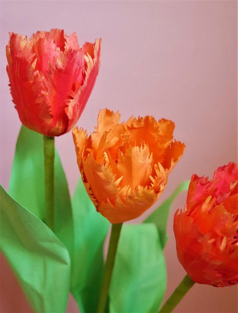 Tulipe à double franges Fleur de papier Modèles Livraison numérique Tutoriel vidéo SVG Silhouette Scan&Cut Paper Crafts Fleur 3D image 3