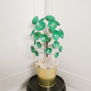 Pianta del denaro cinese - Pilea Peperomioides - Modelli - Pianta di carta - Download immediato - Tutorial video - SVG - Cricut - Silhouette
