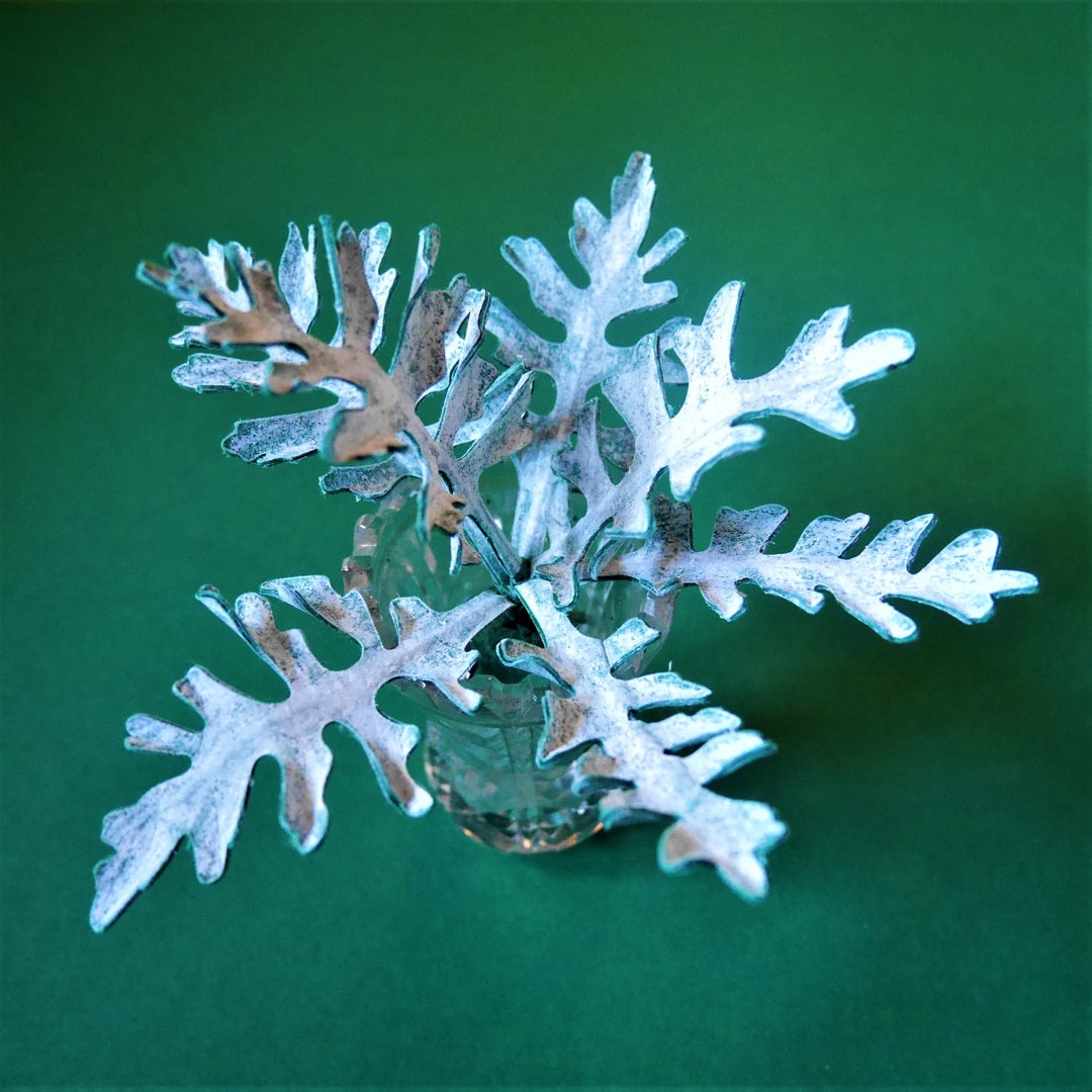 Dusty Miller Templates Instant Download Video Tutorial SVG Silhouette