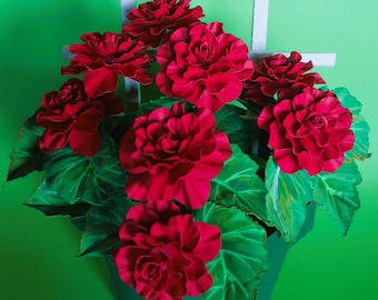 May include: A vibrant display of red flowers with lush green leaves, arranged in a dark green, geometric planter. The flowers are in full bloom, with multiple layers of petals. A white trellis is behind the planter, set against a bright green background.