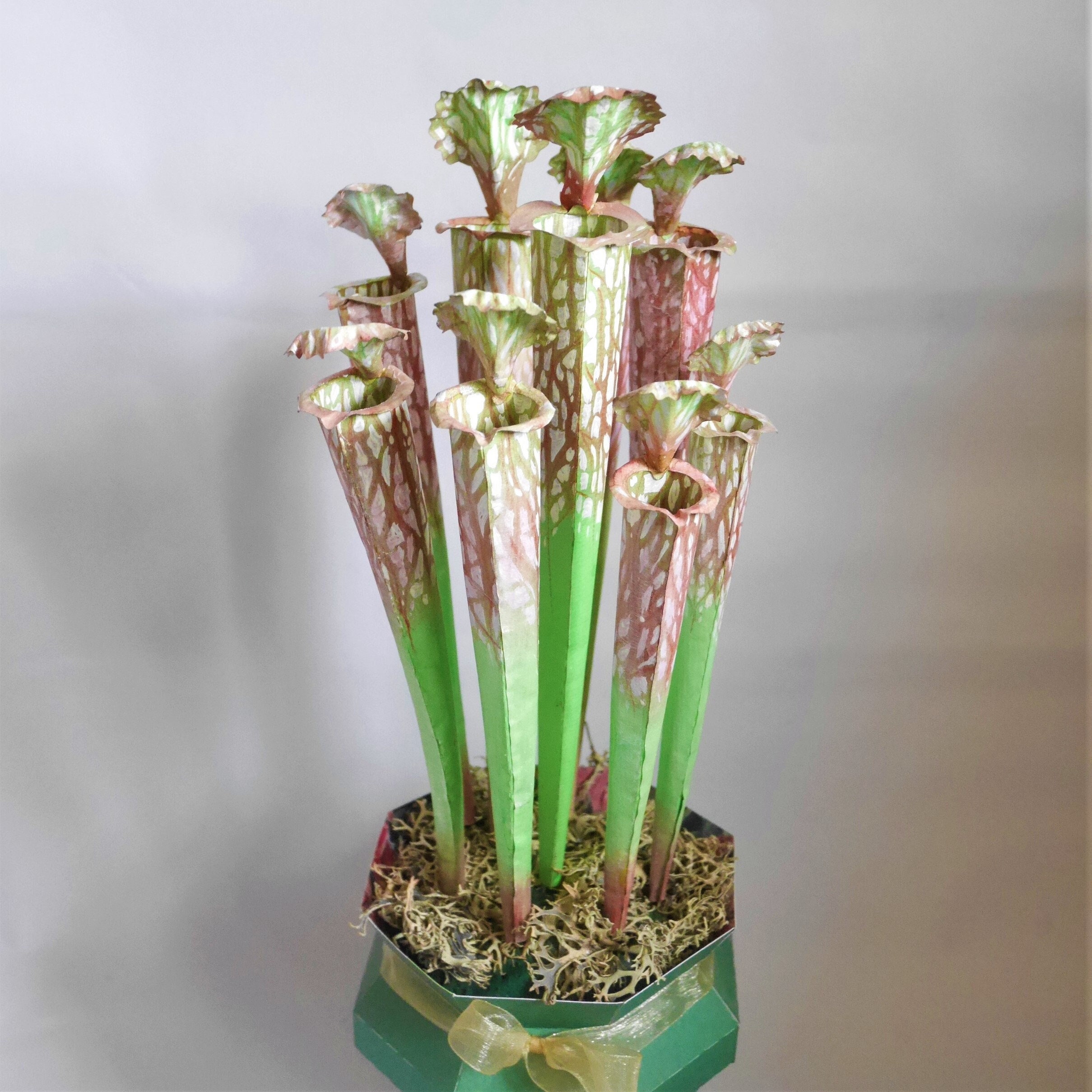 Paper Pitcher Plant Juthatip Soper Templates Paper Plant Etsy