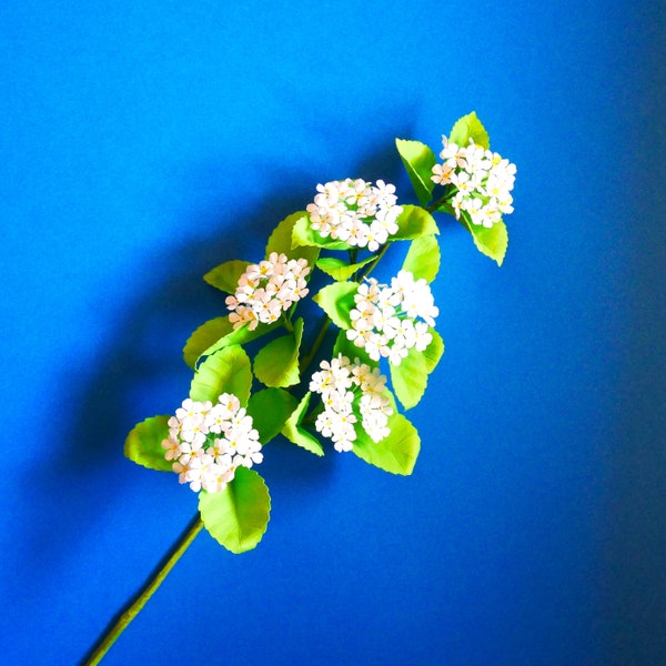 Bridal Wreath Spirea - Paper Flower - Templates - Instant Download - SVG - Silhouette - Cricut - Scan&Cut - DIY - Paper Bouquet