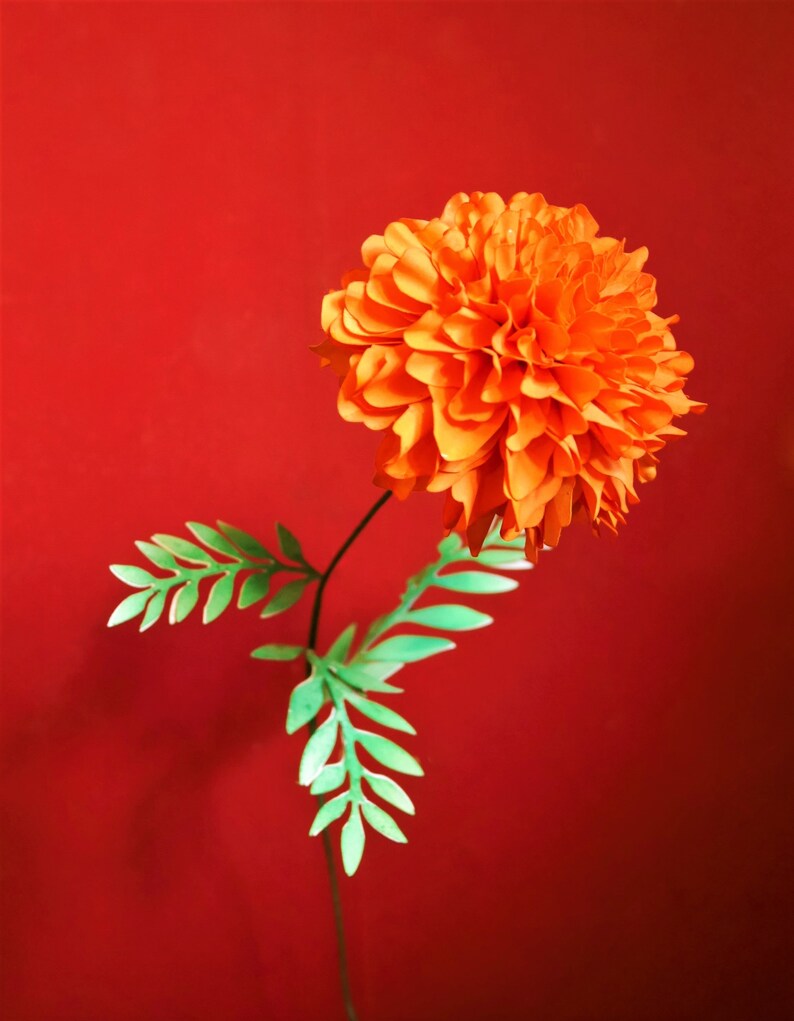 African Marigolds Paper Flowers Templates Video Tutorial Etsy African Marigolds Paper Flowers Templates Video Tutorial Etsy