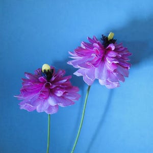 Puede incluir: Dos flores artificiales con pétalos morados en capas y centros amarillos sobre un fondo azul. Las flores tienen largos tallos verdes. Los pétalos tienen una cualidad translúcida, y el efecto general es delicado y vibrante.