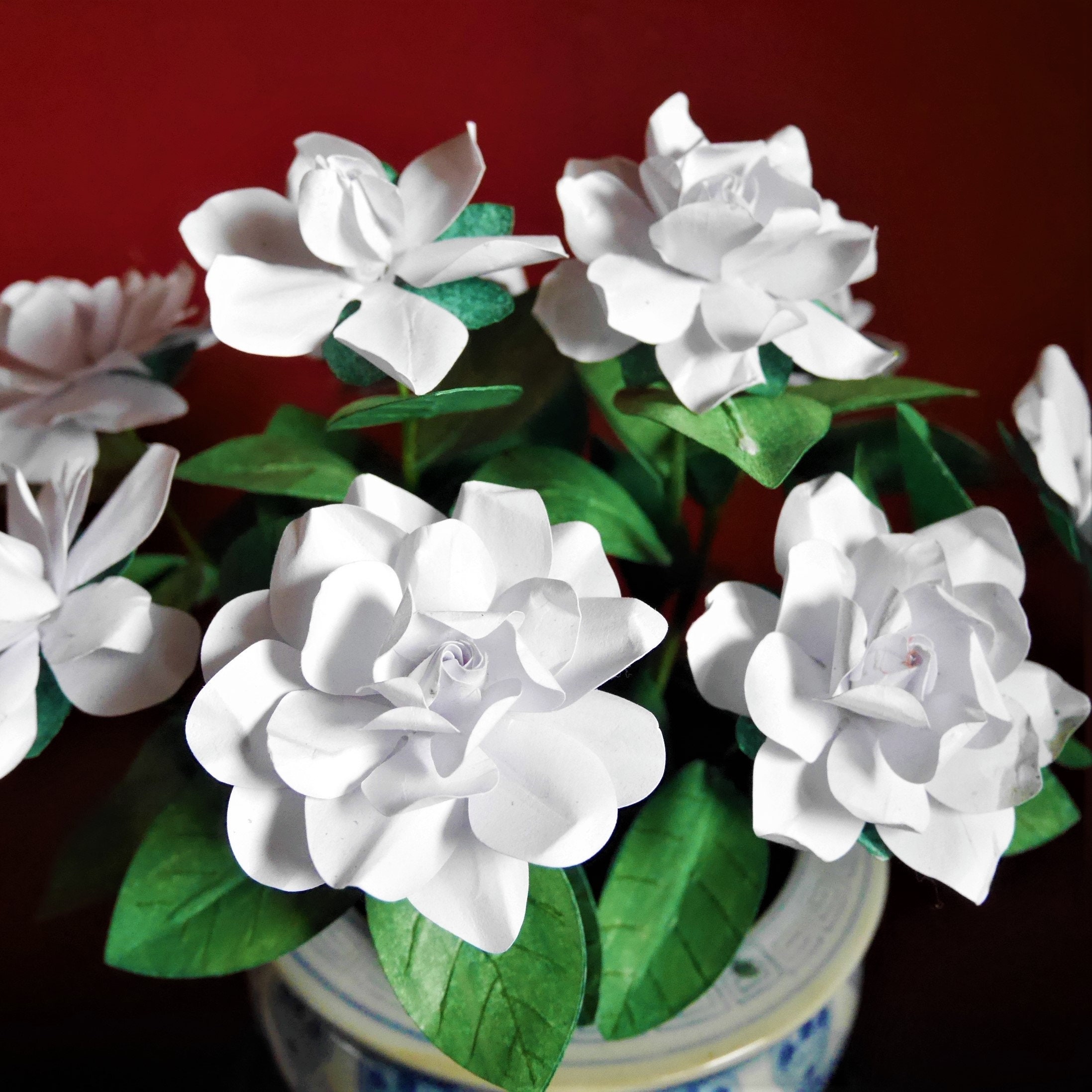 Gardenia - Flor de papel - Plantillas - Videotutorial - Descarga  instantánea - SVG - Silhouette - Escanear y cortar - Cricut - Ramo de boda  - Decoración - Etsy México, image size:2195x2195