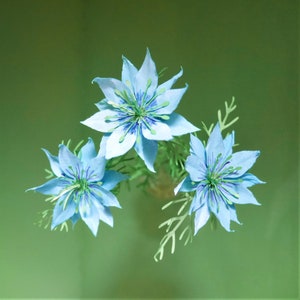 Nigella - Paper Flowers - Templates - Instant Download - Video Tutorial - Cricut - Silhouette - Scan&Cut - DIY - Flowers - 3D Templates